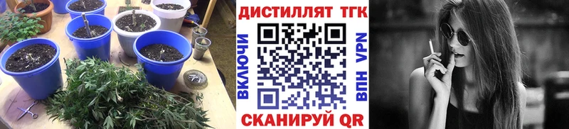 Дистиллят ТГК жижа  Купить  Краснотурьинск 