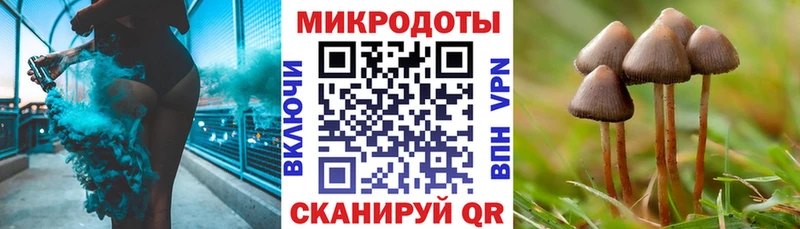Галлюциногенные грибы Psilocybe  Купить закладки  Краснотурьинск 